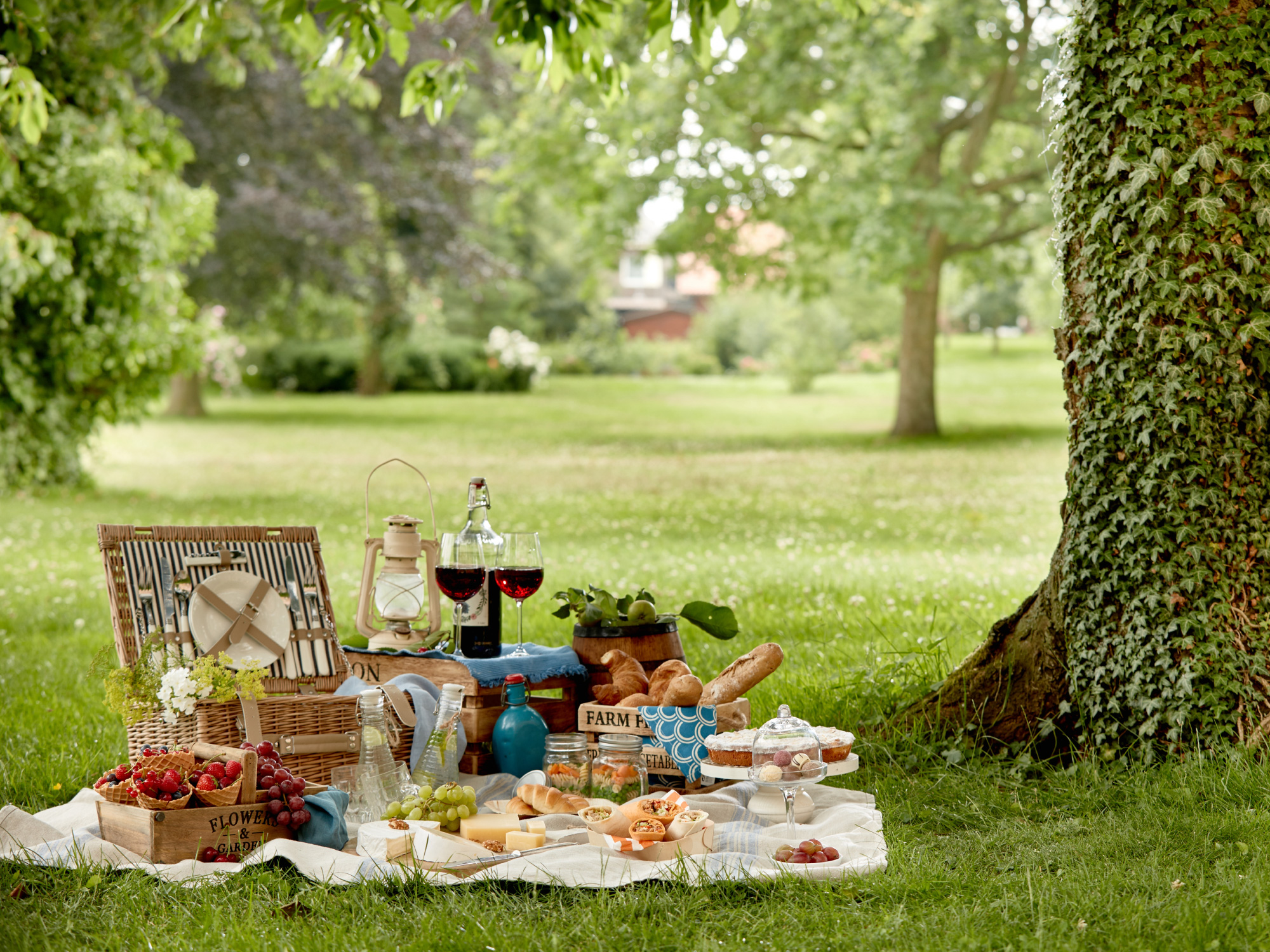Pic Nic nella Storia